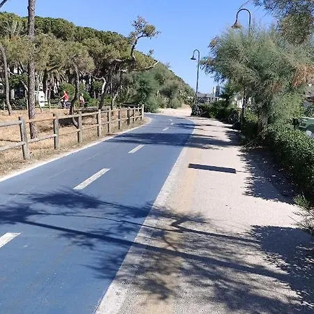 Oksyalba